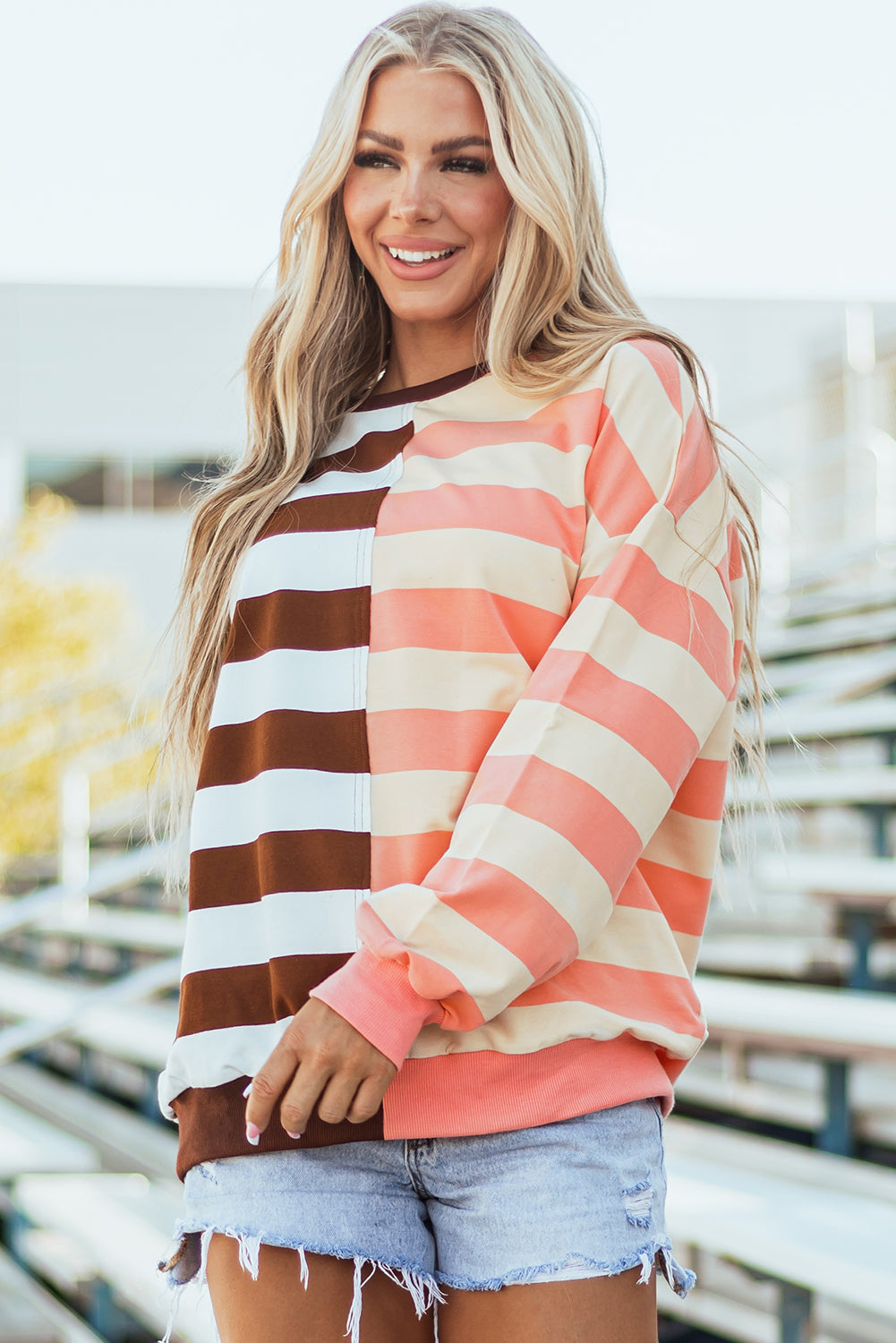 Stripe Colorblock Drop Shoulder Crewneck Sweatshirt