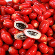 Miracle Fruit Seeds for Planting – Heirloom Non-GMO, High Germination Organic Garden Seeds for Home & Indoor
