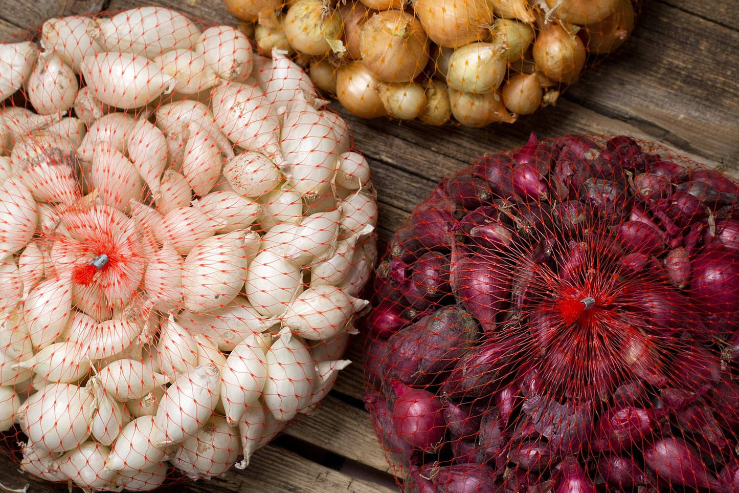 Mixed Red White And Yellow Onion Sets 50-60 Bulbs Non-GMO