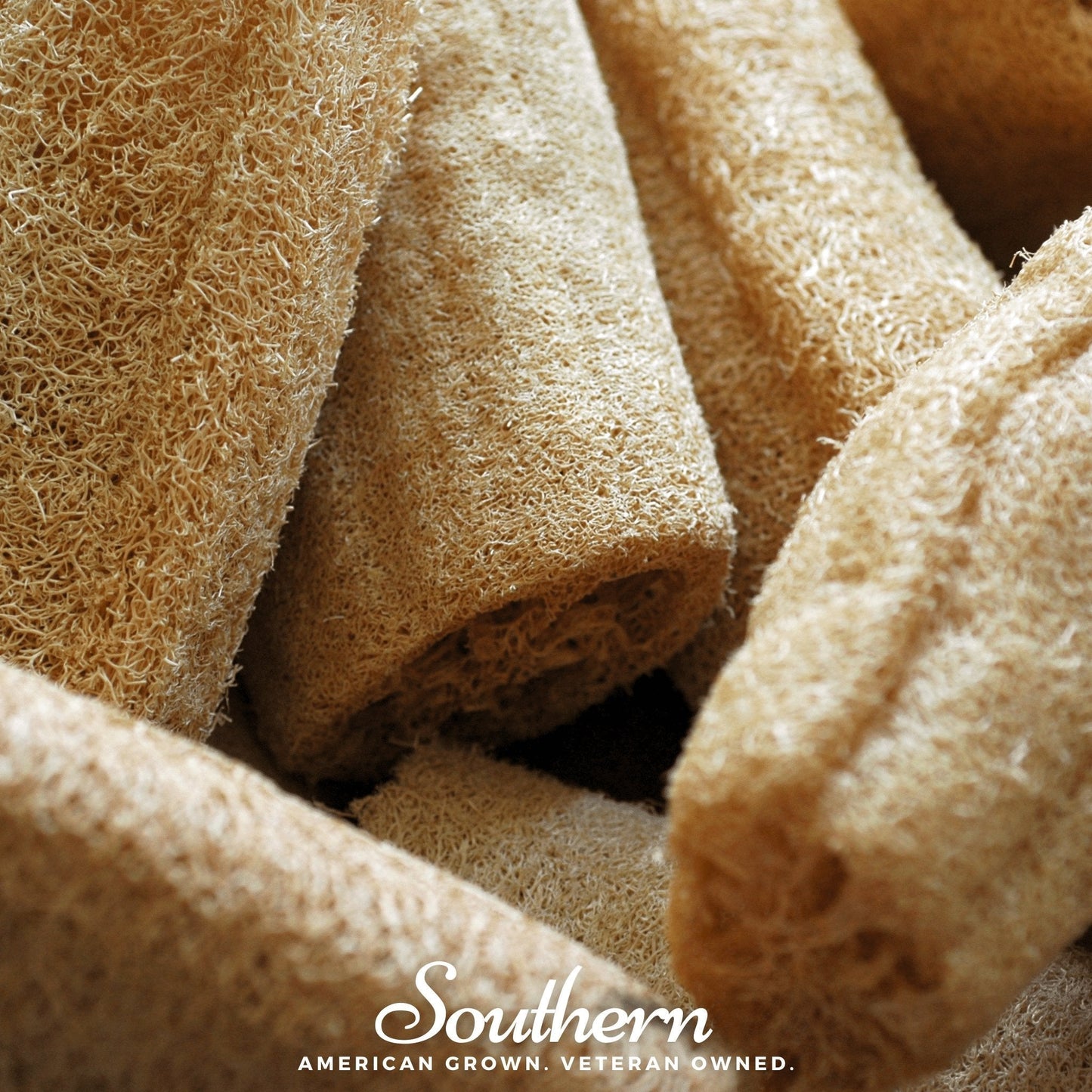 Luffa Gourd – 20 Seeds