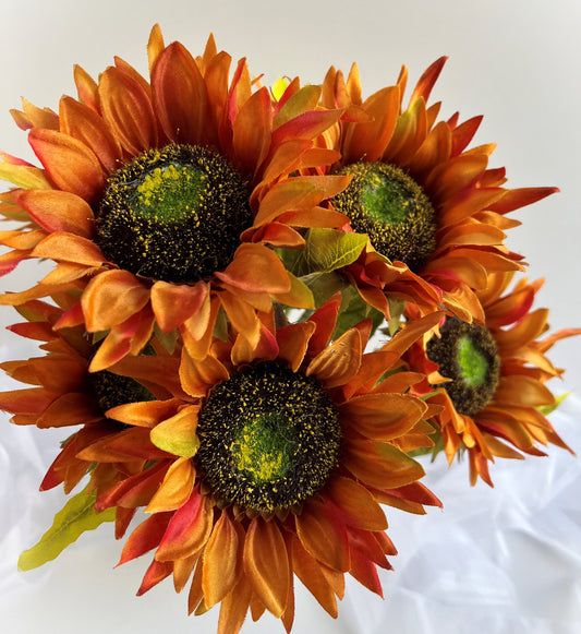 Golden Orange Sunflower Seeds – Rich, Vibrant Blooms for Gardens & Landscapes