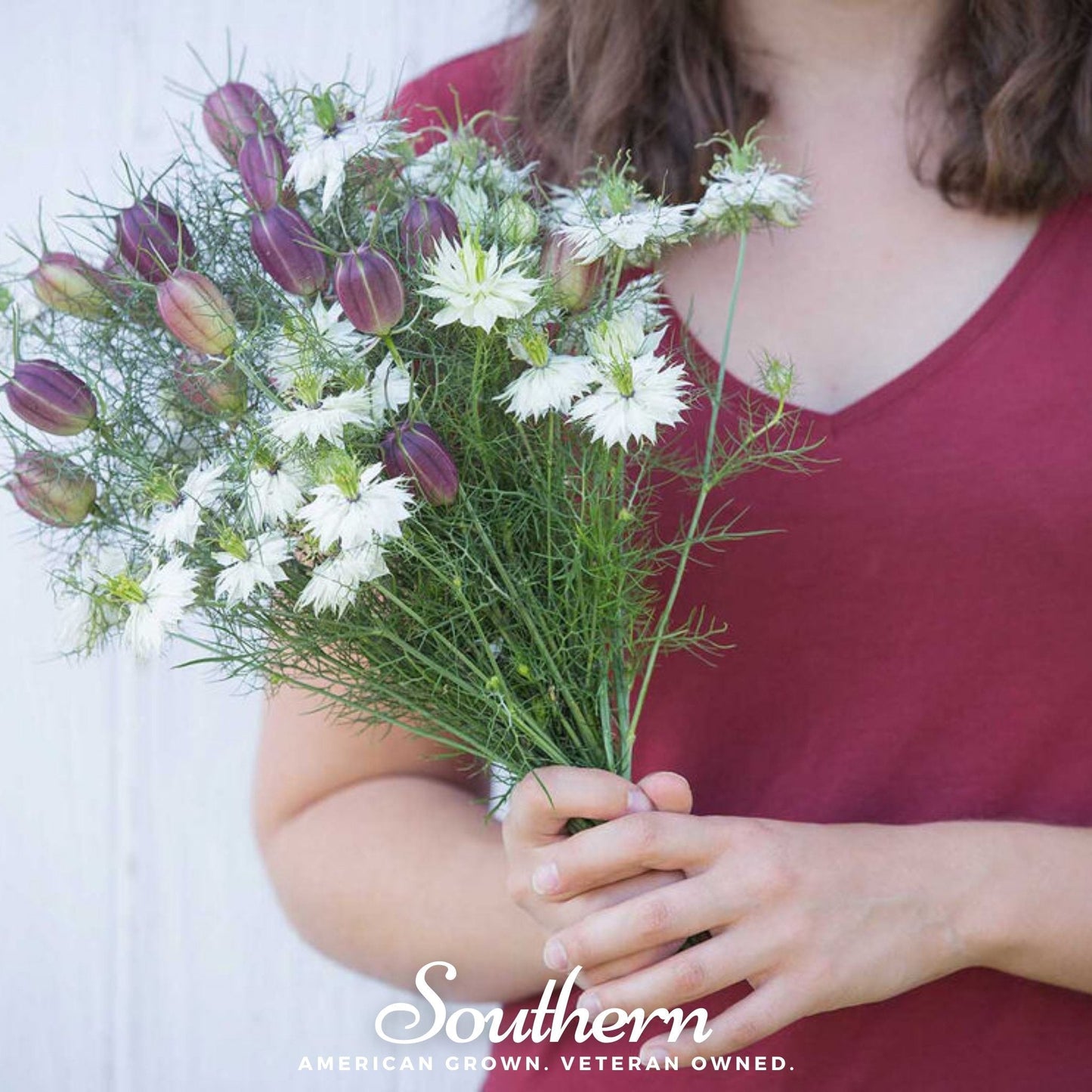 Albion Black Pods Love in a Mist – 100 Mixed Seeds
