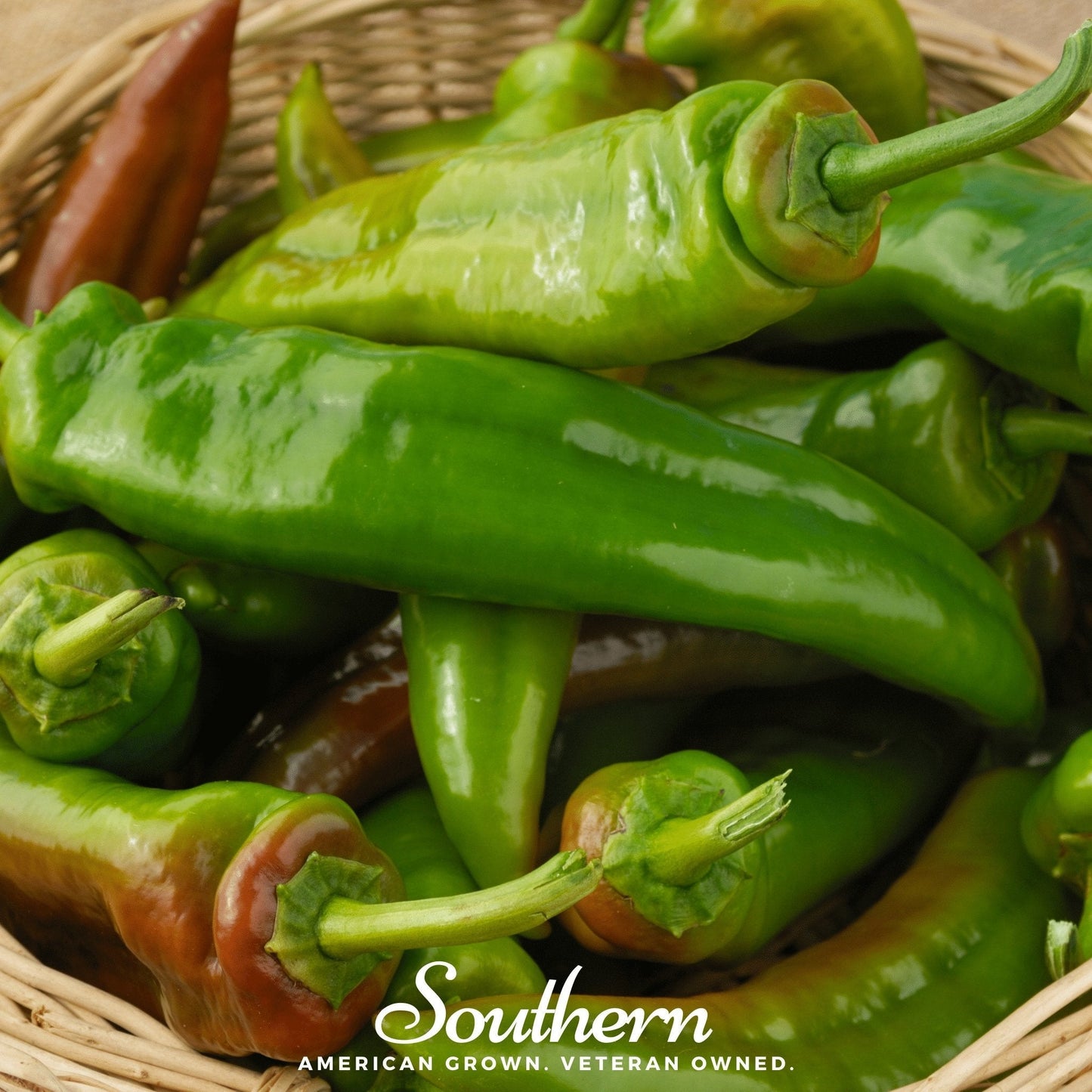Anaheim Chili Pepper – 25 Seeds