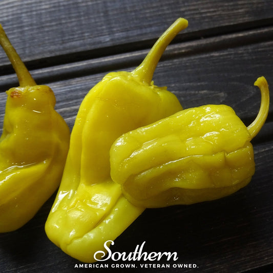 Pepperoncini Pepper – 25 Seeds