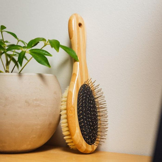 Bamboo Dog Brush for All Coats