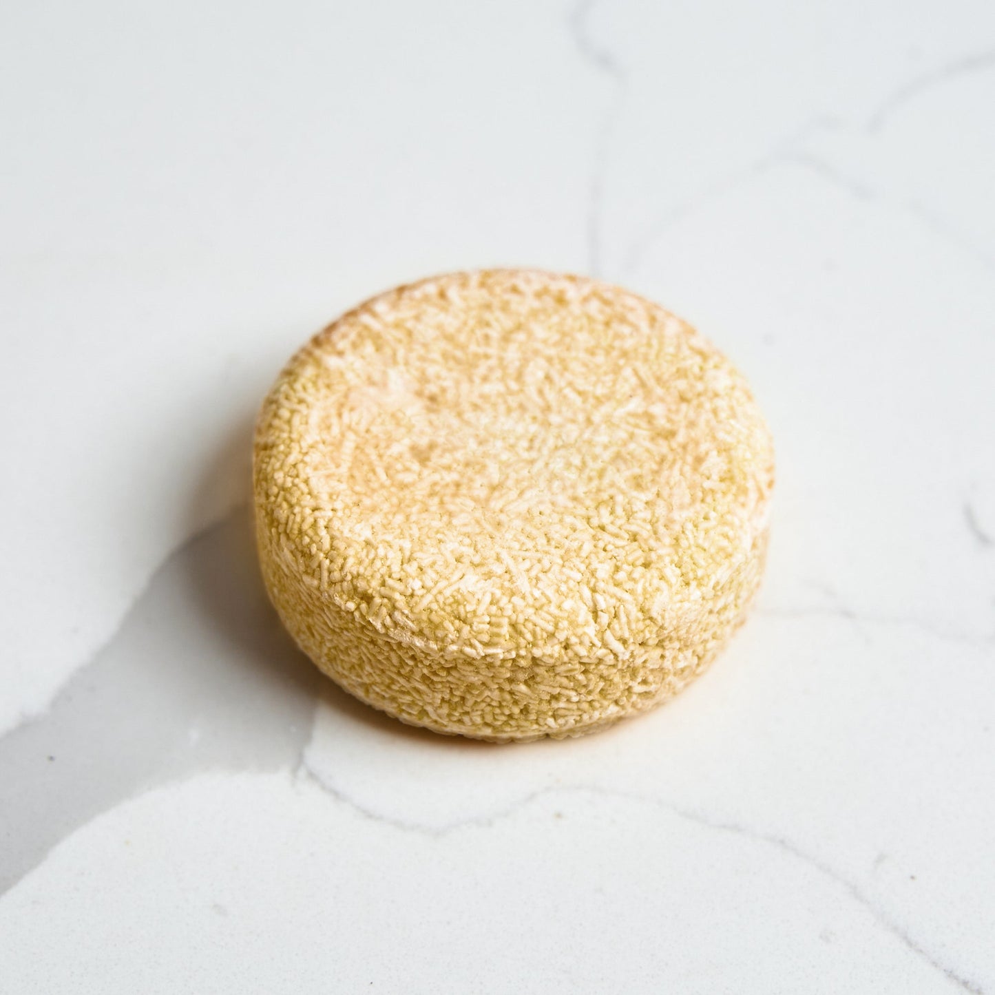 Shampoo Bar | Orange