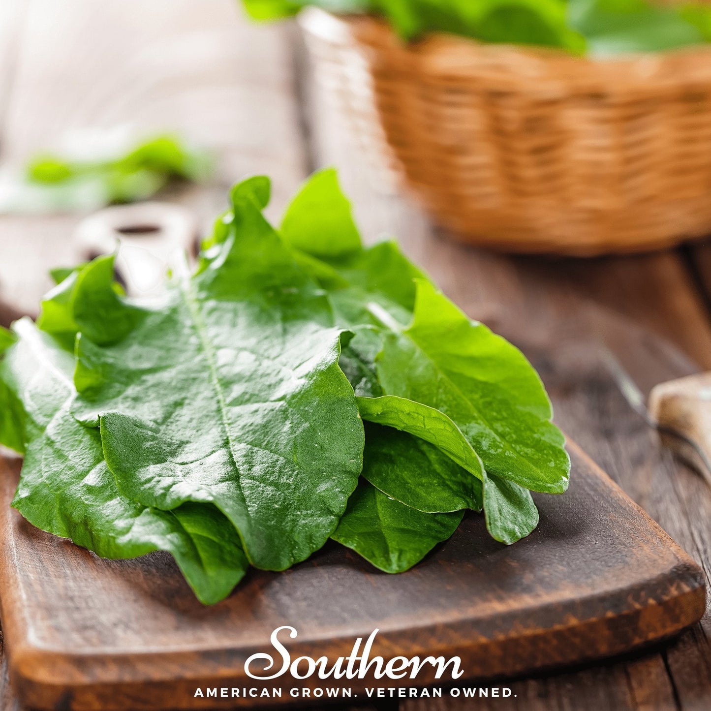 Garden Sorrel – 200 Seeds