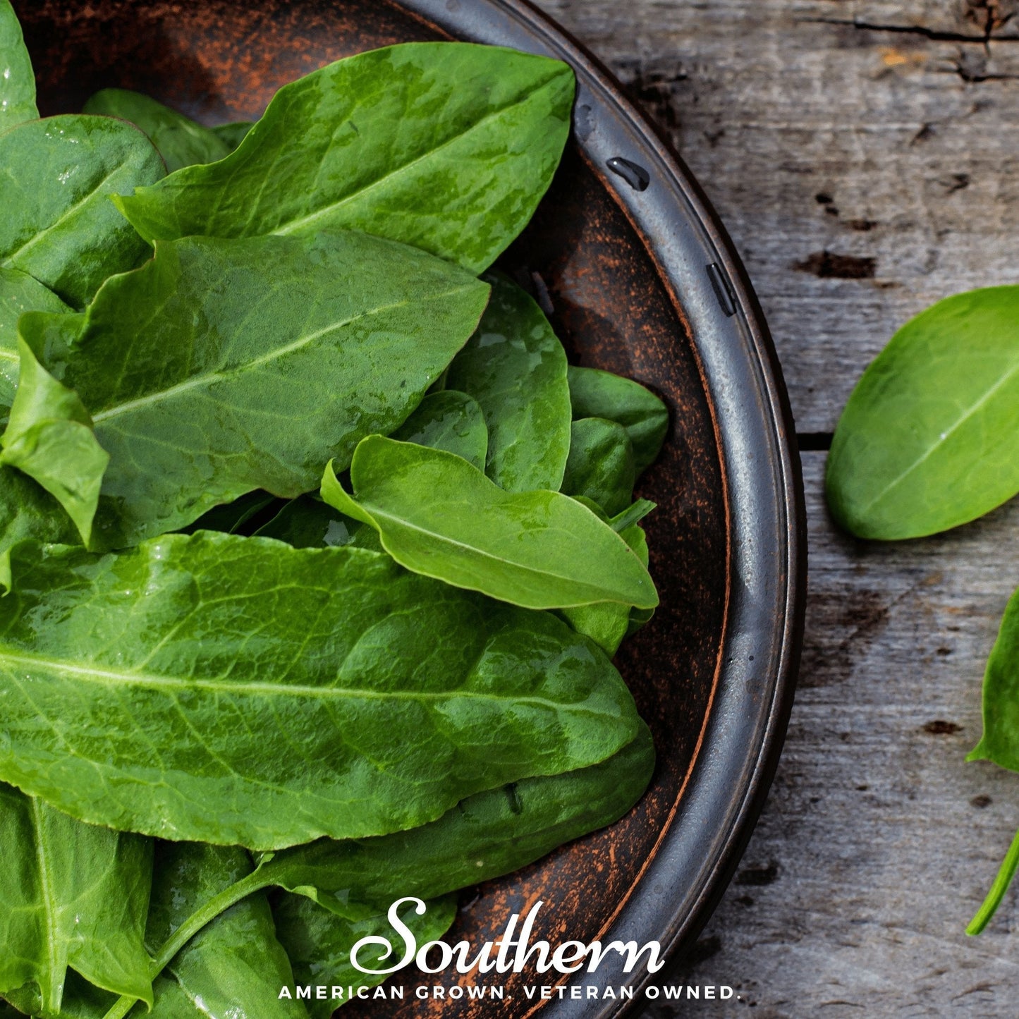 Garden Sorrel – 200 Seeds