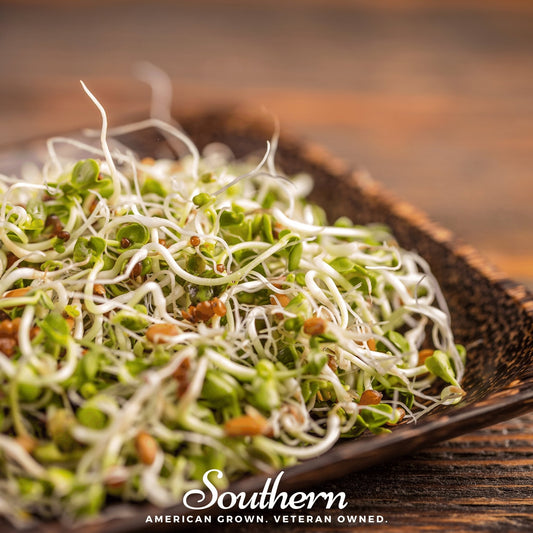 5 Part Salad Mix Sprout – 1,000 Seeds