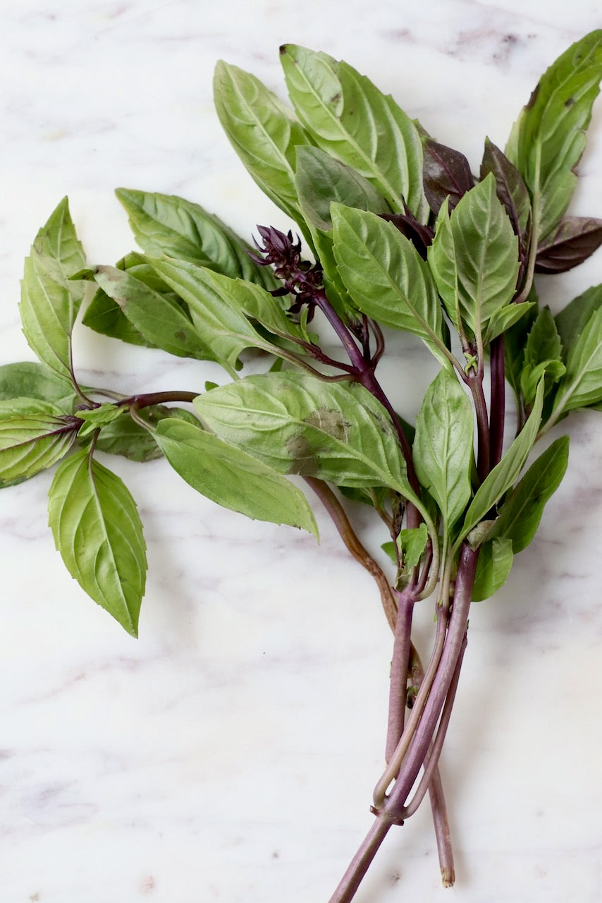 Thai Basil Herb Seeds for Planting – Heirloom, Non-GMO, High Germination Organic Garden Seeds for Culinary Use