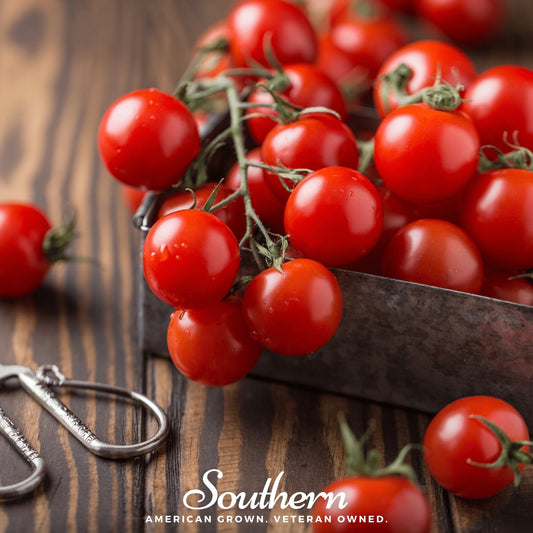 Small Red Cherry Tomato – 100 Seeds