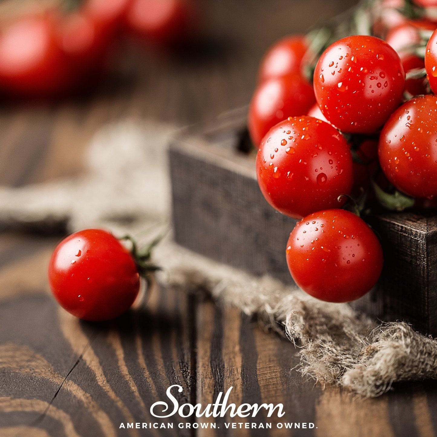 Small Red Cherry Tomato – 100 Seeds