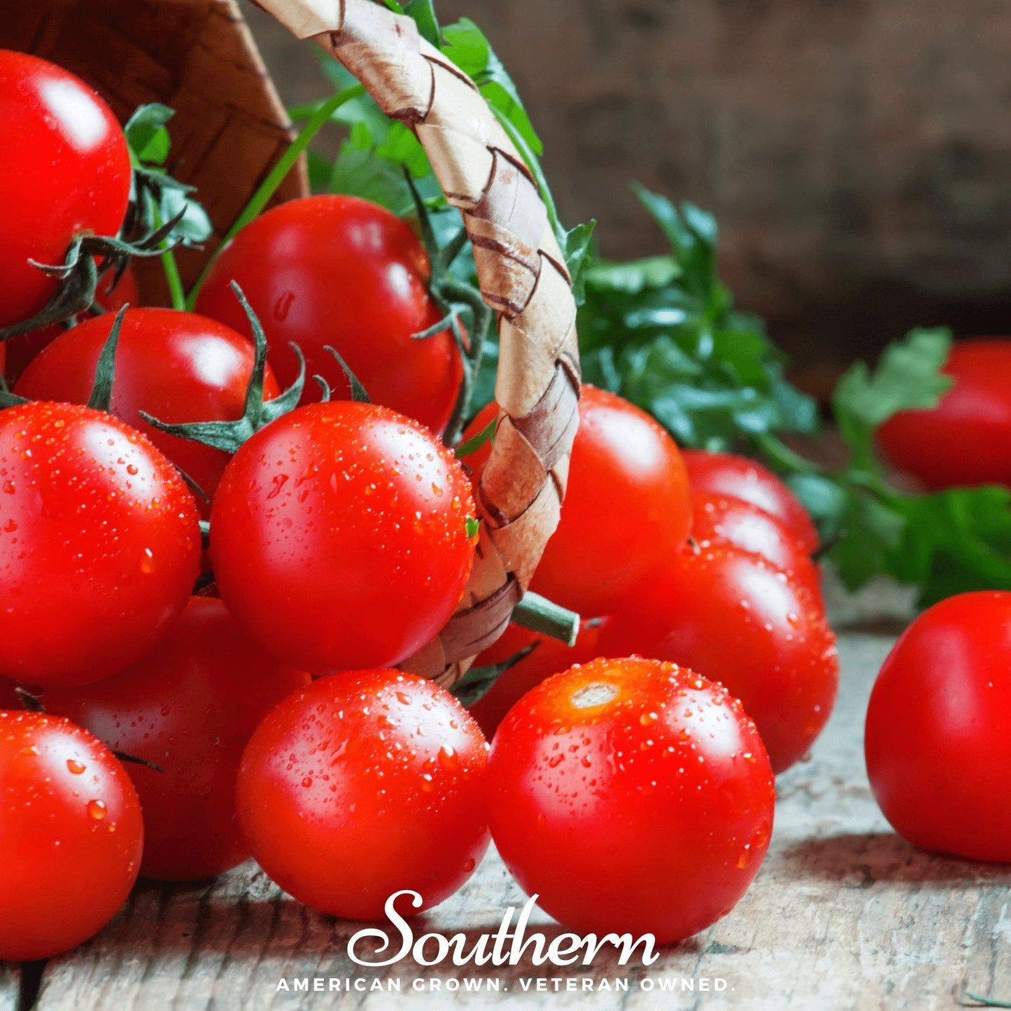 Small Red Cherry Tomato – 100 Seeds