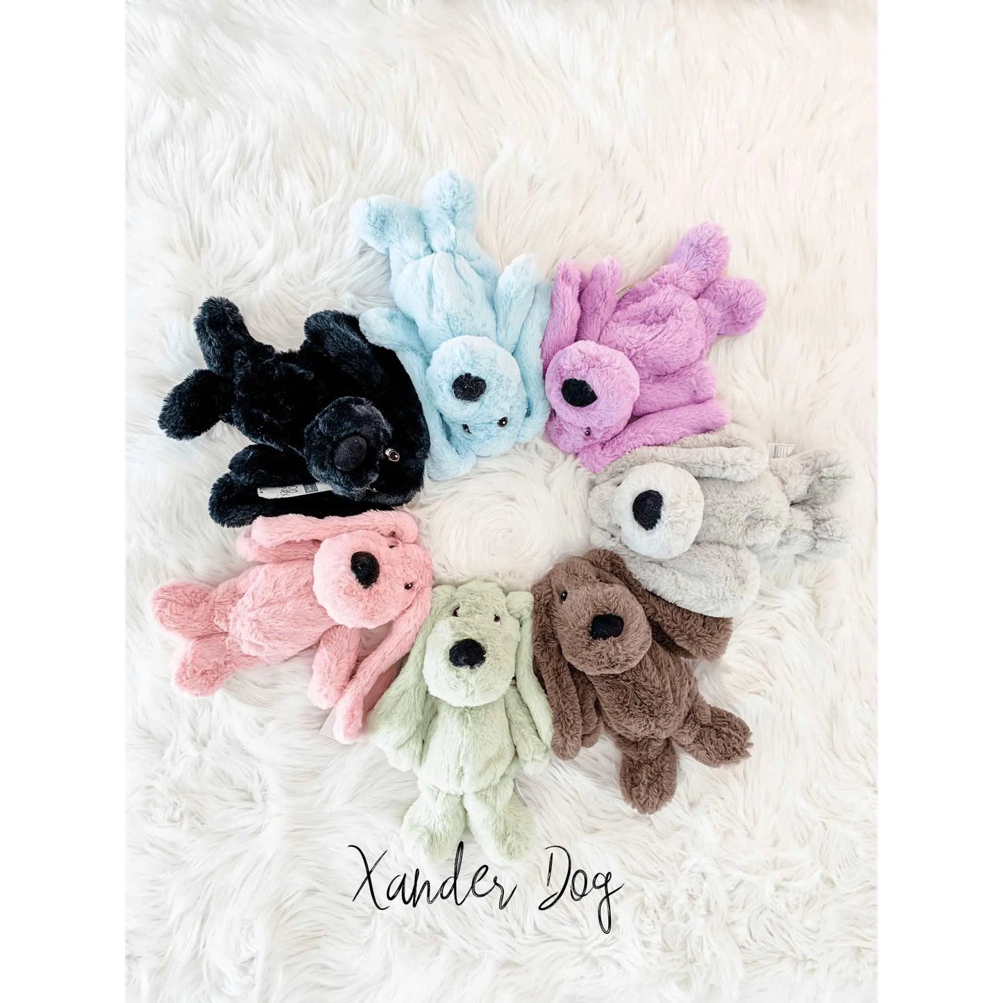 Xander Stuffed Dog Gift Set - With Clothing & More